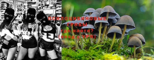 марки nbome Нефтекумск