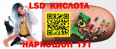 гашик Кулебаки