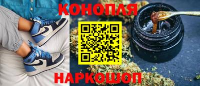 гидропоника Кунгур