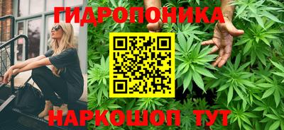 гидропоника Кунгур