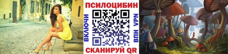 Псилоцибиновые грибы Psilocybe  ссылка на мегу ссылка  Новочебоксарск 