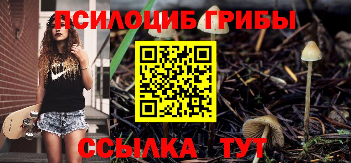 Галлюциногенные грибы Magic Shrooms  Вход с VPN  Новочебоксарск 