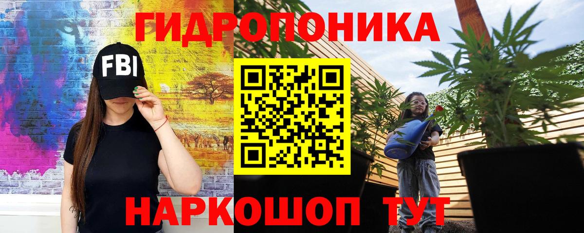 COCAIN Новочебоксарск